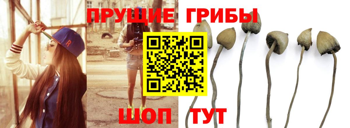 продажа наркотиков  Вход с VPN  Ишим  Псилоцибиновые грибы ЛСД 